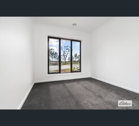 39 Bowerbird Court, Thurgoona, NSW 2640 - Photo 5