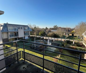 Les potagers de chartres - Photo 6