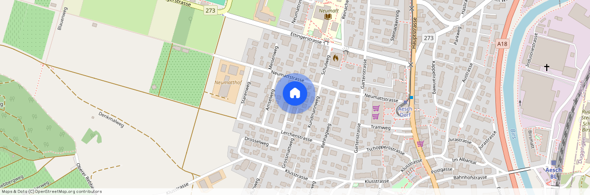 4147, Aesch, Neumattstrasse, 29