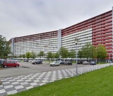 Perim 0ong, 1503 Zaandam, Nederland - Foto 3