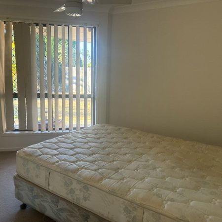 Springfield - Photo 3