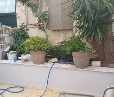 Ενοικίαση κατοικίας, 31 τ.μ., Αργιθέα, 450 € - Photo 5