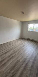 À Charlemagne, 1 grand 4 1/2 et 3 grands 5 1/2 à louer, disponible immédiatement ou le 1er juillet - Photo 3