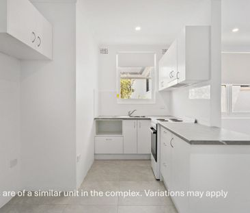 Stylish Ground Floor Apartment Moments from Elouera Beach - Photo 1