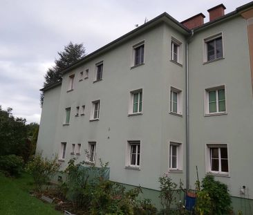 2 Zimmer Wohnung an der Mur I Hauptplatznähe I unbefristet - Foto 4