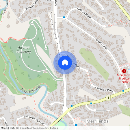 83 Awanui Street, Merrilands, New Plymouth