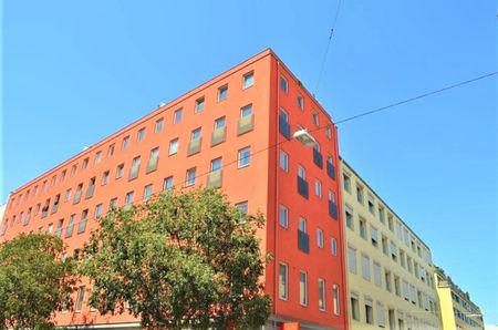 TERRASSENHIT, UNBEFRISTET, 84 m2 Dachgeschoß mit 64 m2 Terrasse, Wohnküche, 2 Zimmer, Wannenbad, Parketten, Fernblick, Holbeingasse - Photo 4