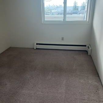 2 Bedroom available now at Ridgemont Apartments - Cat Friendly! - Photo 3