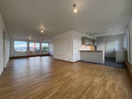 Superbe attique 6.5 pièces neuf avec 2 terrasses et vue près de l'ONU - Photo 3