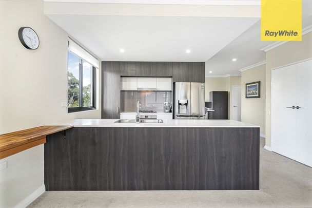 Oversized One Bedroom Apartment - Photo 1