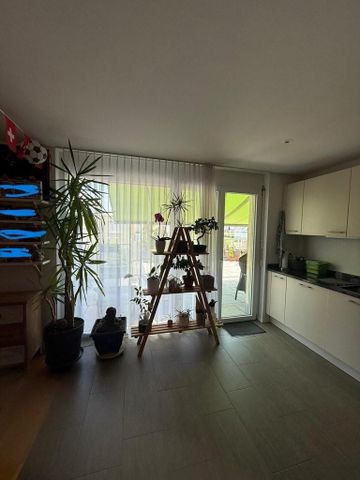 Moderne Attikawohnung mit grosser Terrasse zu vermieten - Foto 3