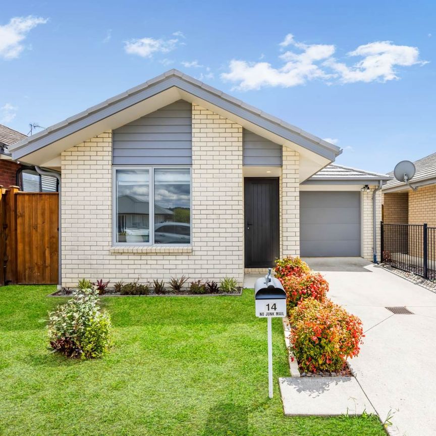 14 Huamanu Street, Pukekohe, Auckland - Photo 1