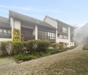 Charmante Wohnung in Witikon mieten - Photo 1