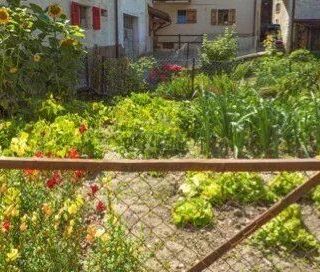 Charming apartment for rent all year round in Châble - Photo 1