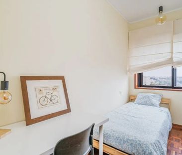 Rua do Campo Alegre, Porto, Braga 4150-177 - Photo 2