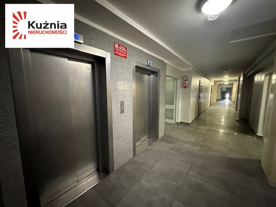 PRZYJAZNE ZWIERZĘTOM - KLIMATYZACJA W-a Zachodnia - Zdjęcie 1