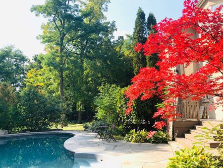 For Lease - 155 Renaissance Court, Vaughan, Ontario - Photo 4