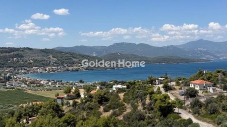 Μονοκατοικία για ενοικίαση Θεολόγος (Μαλεσίνα) - Φωτογραφία 3