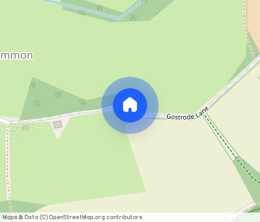 Gostrode Lane, GU8 - Photo 1