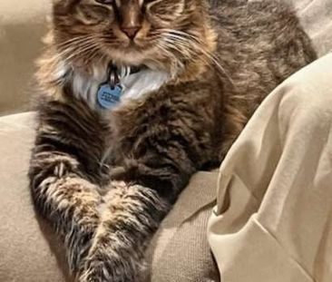 Maroochydore - Photo 2