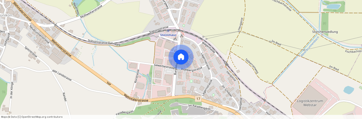 Frohbergstrasse 5, 8162 Steinmaur, Lageplan