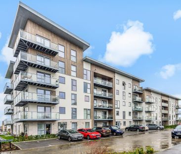 1 bedroom apartment to rent - Photo 4