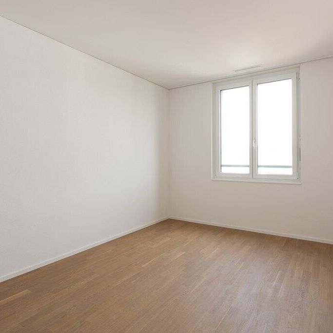 IN THE OAK FIELD – my Jona, my home - Foto 1