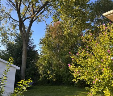 For Lease - 37 Ondrey Street, Bradford West Gwillimbury, Ontario - Photo 2