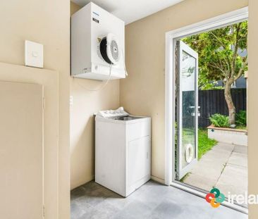 Sunny on Springfield - Photo 5