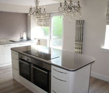 South Park Drive, Paisley - Photo 3