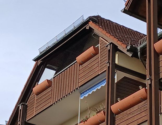 2-Zi-DG Wohnung, barrierefrei mit Balkon, Lift und TG - Photo 1