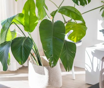 Nieuwbouw appartement te huur op Linkeroever - Photo 2