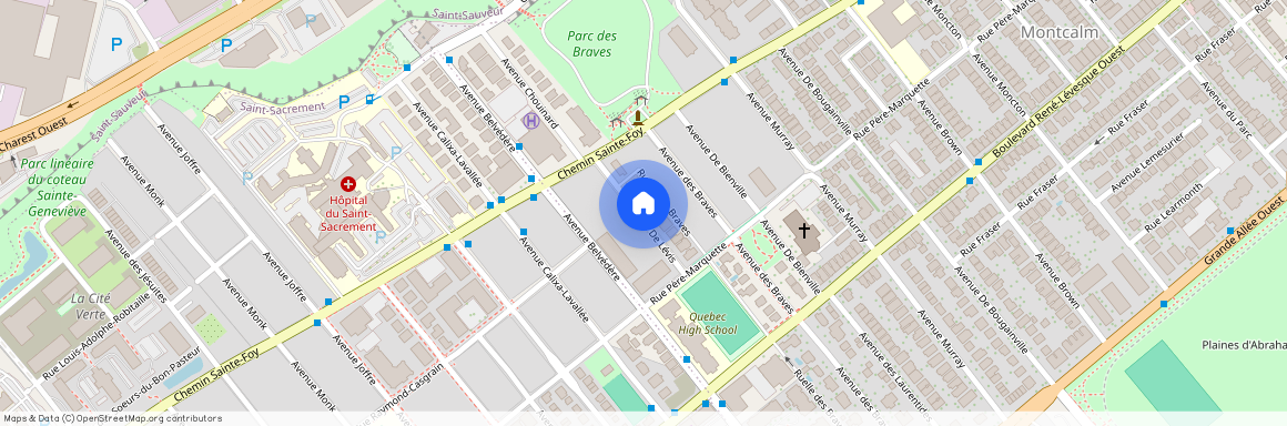 Avenue Belvédère, Québec, Québec, Capitale-Nationale, G1S 3E2