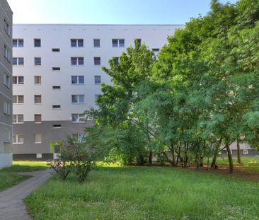 Student oder Azubi gesucht! - Foto 1