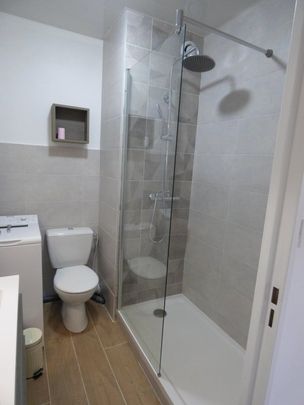 Location / Appartement T1 bis - Photo 1