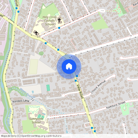 59 View Road, Henderson, Waitakere City