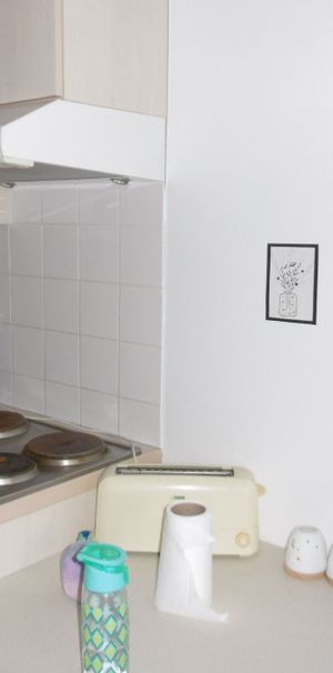 Location Appartement 1 pièce 16m² GRENOBLE 38000 - Photo 1