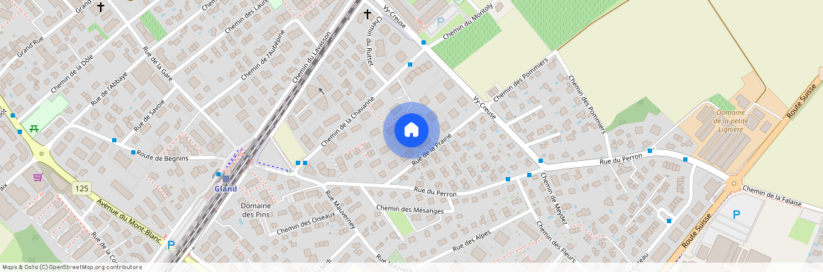 1196, Gland, Rue de la Prairie, 9