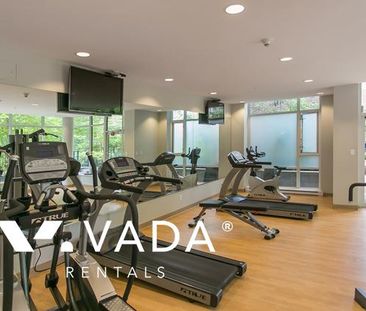 Unfurnished, Pet Friendly, 1 Bed 1 Bath Apartment For Rent - Photo 3