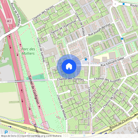 Chem. de Carabot 29, 1233, Bernex