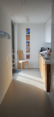 Terassenwohnung | mit Aussicht über ganz Zürich - Photo 1