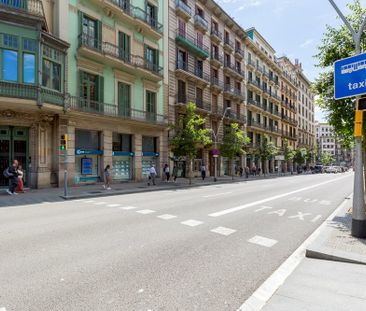 Nice room in Barcelona - Photo 3