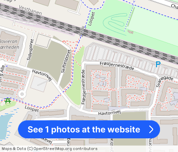 Frøstjernestræde 7, 1. tv - Photo 1