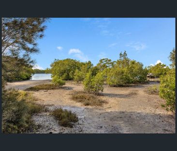 7 Ibis Parade, Jacobs Well, Qld 4208 - Photo 5