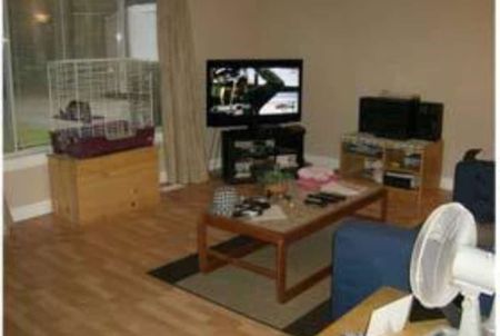 21314 124 Avenue, Maple Ridge - Photo 3