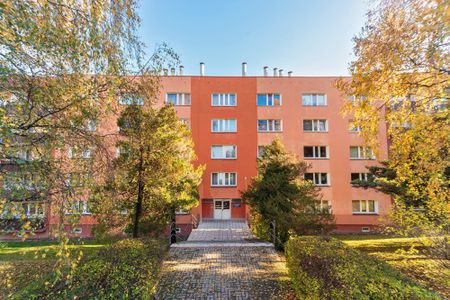 Kawalerka na wynajem - Zdjęcie 4