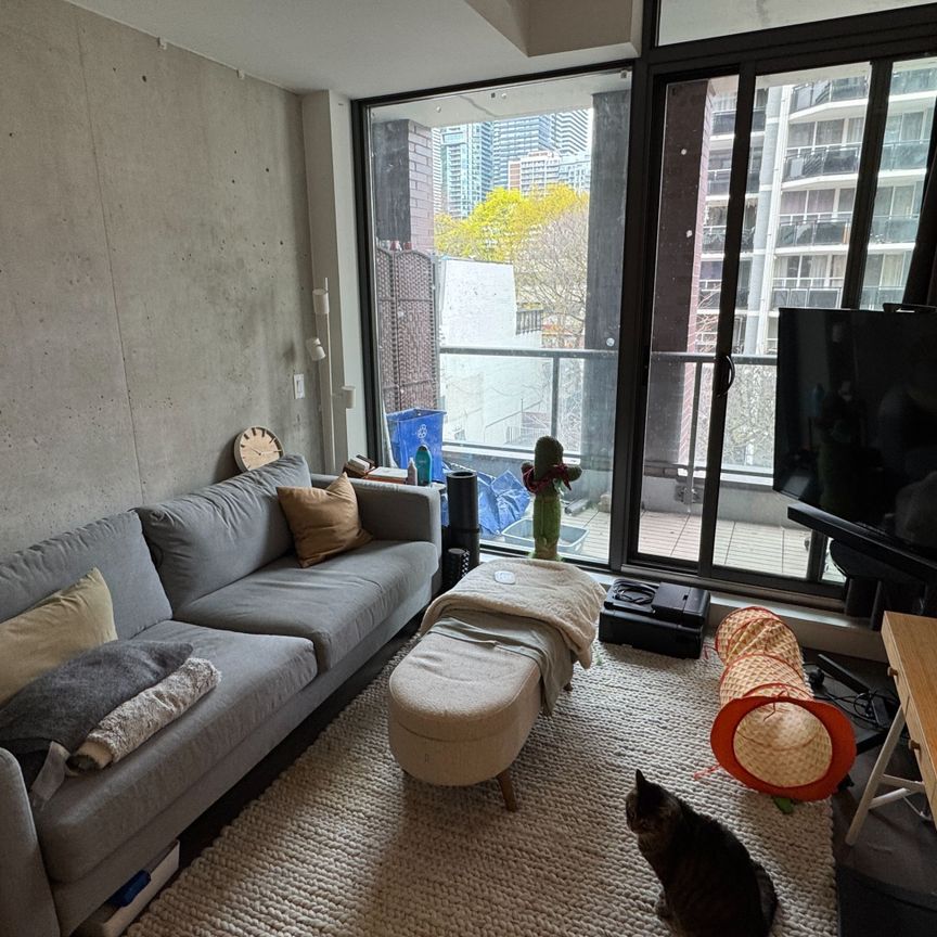 For Lease - 81 Wellesley Street Unit# 308, Toronto, Ontario - Photo 1