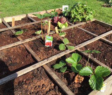 Met fietsenberging & giga tuin - Photo 4