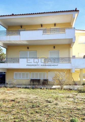 Μονοκατοικία για ενοικίαση Παλαιά Φώκαια - Photo 2