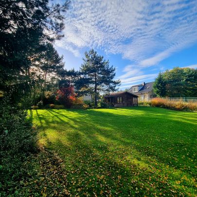 Dom z piękną działką 3000m2, Wielgowo - Zdjęcie 1
